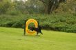 DSC07101.JPG