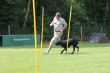IMG_2271.JPG