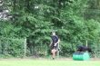 IMG_2520.JPG