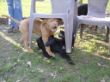 DSC01355.JPG