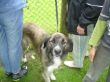 DSC03222.JPG