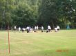 DSC05055.JPG