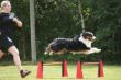 DSC02451.JPG