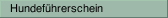 Hundef&uuml;hrerschein
